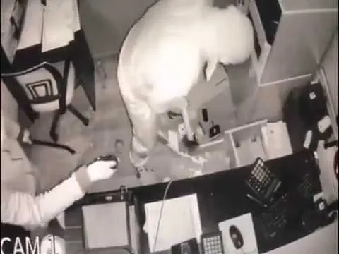 VIDEO. Spargeri ca-n filme la mai multe case de pariuri