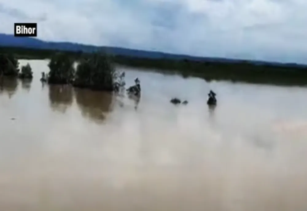 VIDEO - Inundații puternice în mai multe județe