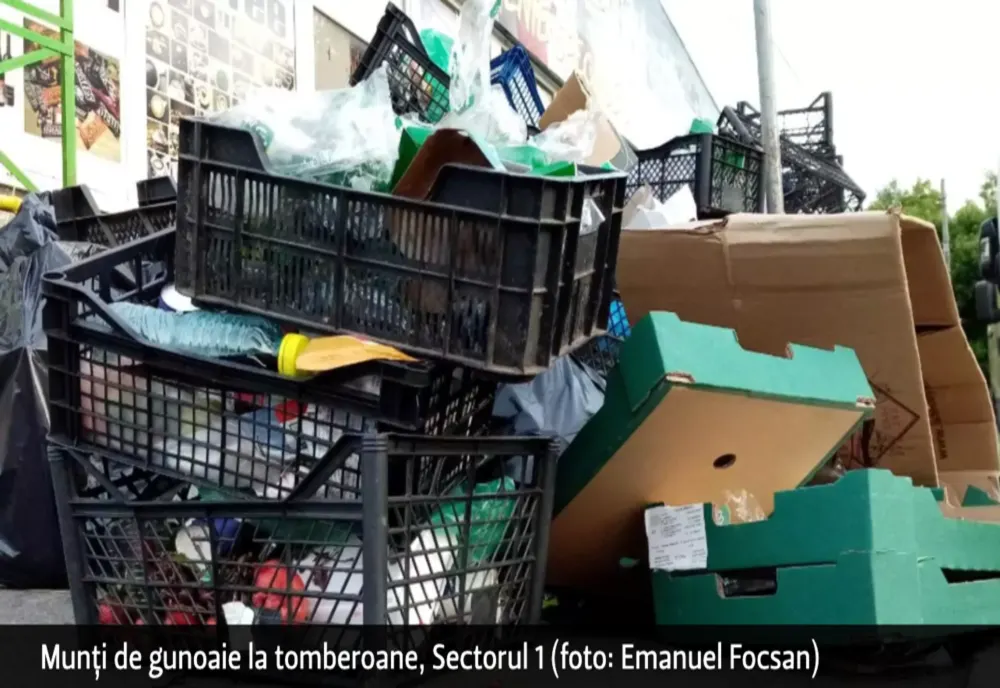 VIDEO Avocatul acționarului principal Romprest: Adimi venea la tribunal cu gărzi de corp ca să intimideze