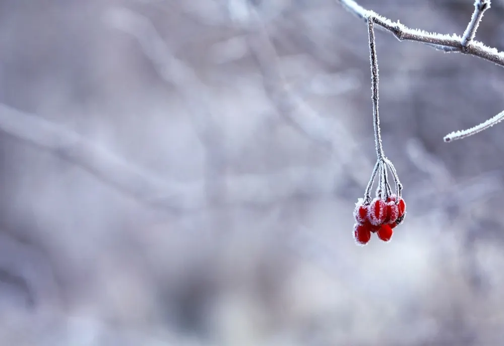 Vremea se răcește în toată țara. În București urmează nopți cu temperaturi sub 10 grade