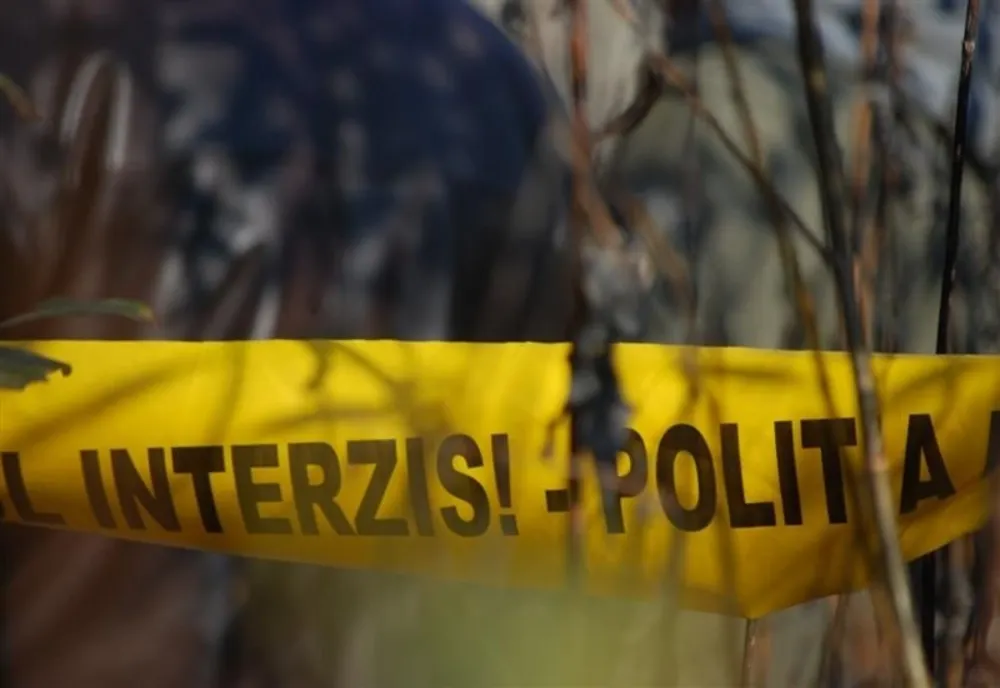 Droguri găsite în Pădurea Băneasa, lângă Academia de Poliție. Pachetele erau îngropate