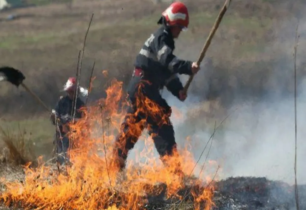 ISUBIF: INCENDIU DE VEGETAŢIE ÎN ORAŞUL BRAGADIRU; A FOST EMIS MESAJ RO-ALERT