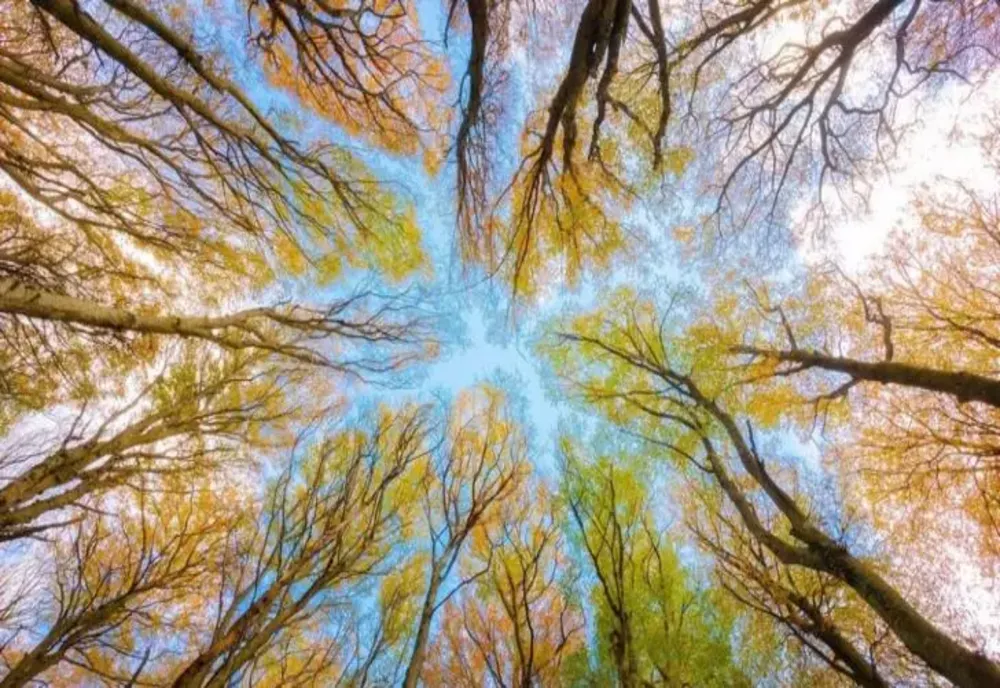 METEOROLOGII PROGNOZEAZĂ VREME MAI CALDĂ DECÂT NORMALUL PERIOADEI