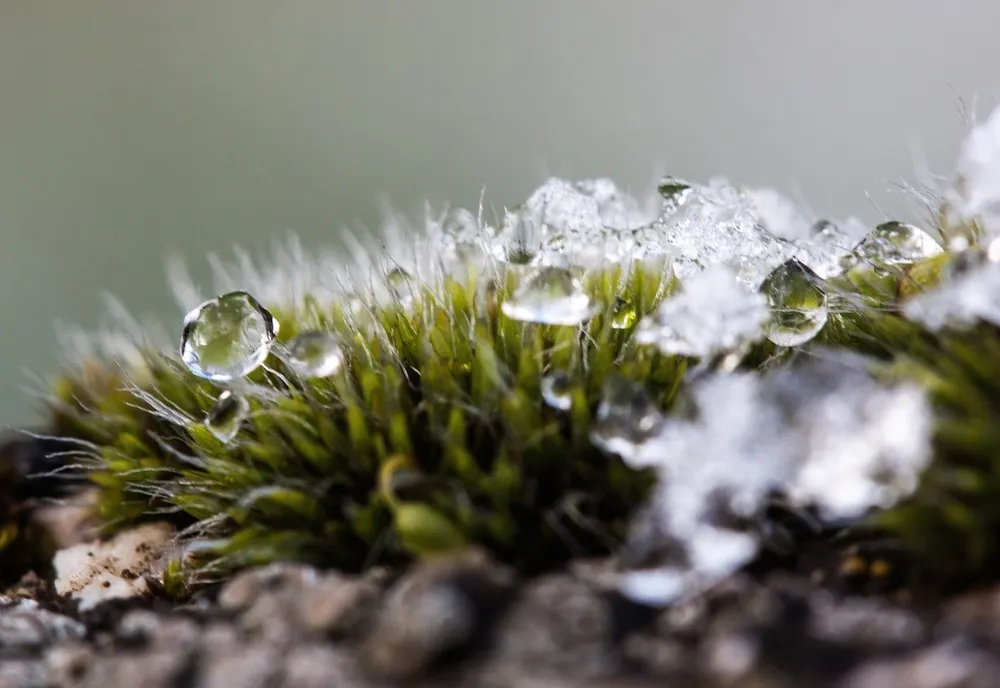 PROGNOZA METEO 20 IANUARIE. VREME DEOSEBIT DE CALDĂ PENTRU DATA DIN CALENDAR