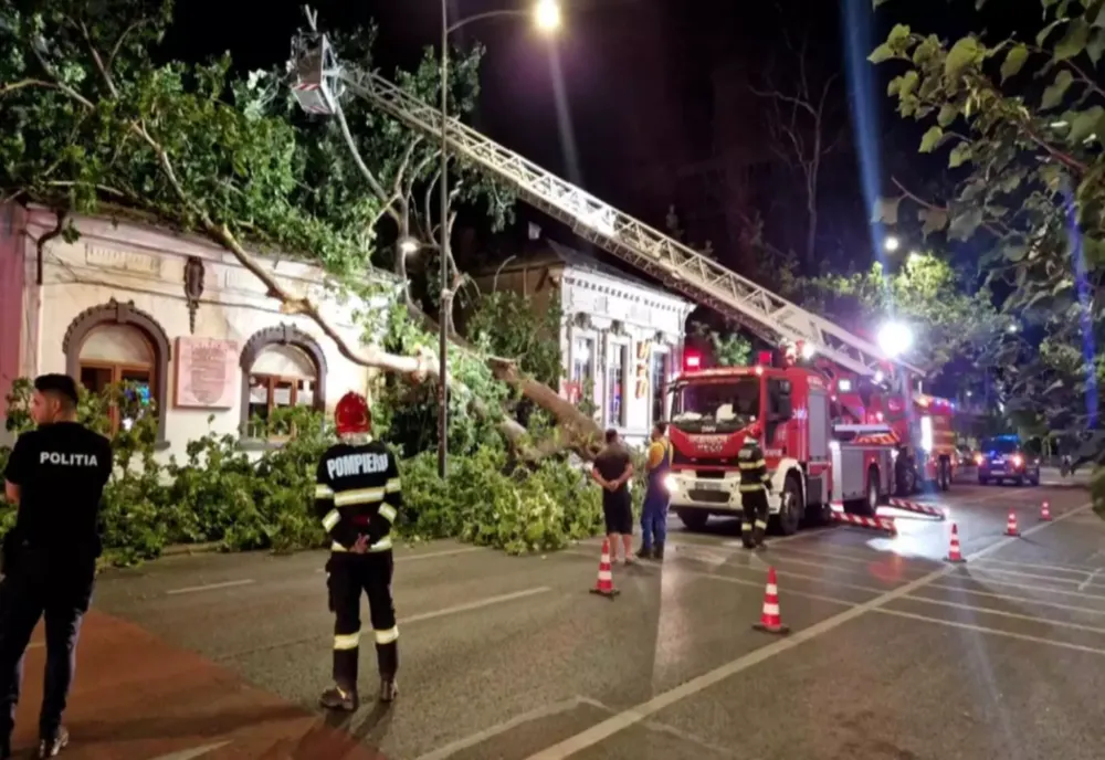 Copac prăbușit peste o cofetărie pe Calea Dorobanți
