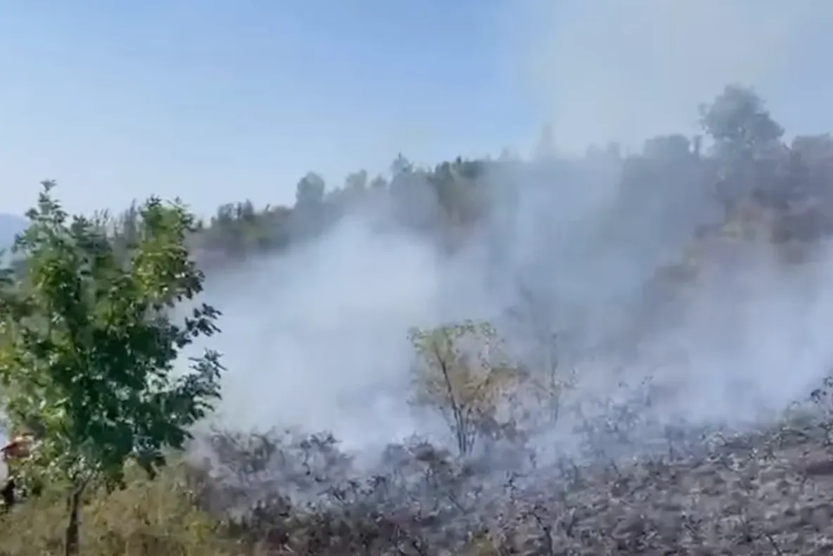 Alertă în Caraș-Severin: incendiile de vegetație se extind, zeci de pompieri și silvicultori se luptă cu flăcările - VIDEO