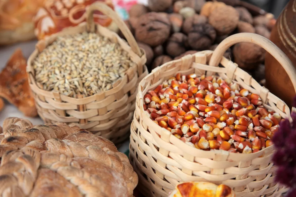 Prețurile porumbului și grâului ating maximele ultimilor ani. Ce se întâmplă pe piața cerealelor