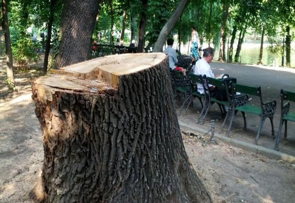 Amendă de 100.000 de lei aplicată de Garda de Mediu Primăriei Municipiului București. Motivul: lipsa Registrului Spațiilor Verzi