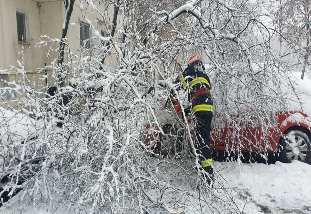 FOTO VIDEO Tulcea sub cod portocaliu. Copaci căzuți,mașini înzăpezite