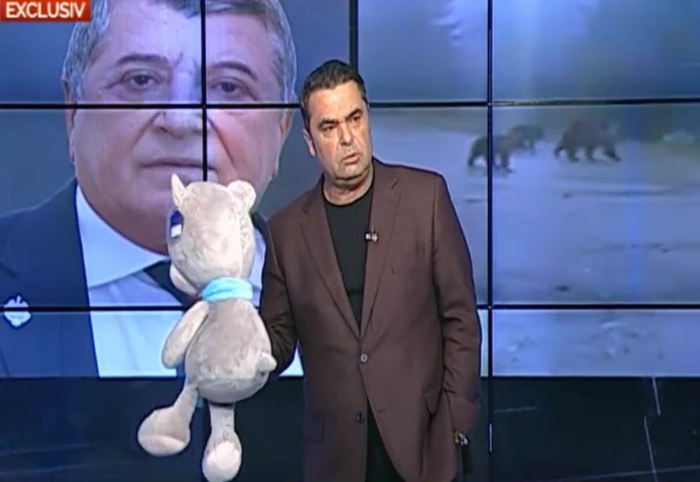 EXCLUSIV Taberele care susțin vânarea urșilor și cele care sunt împotrivă, față în față