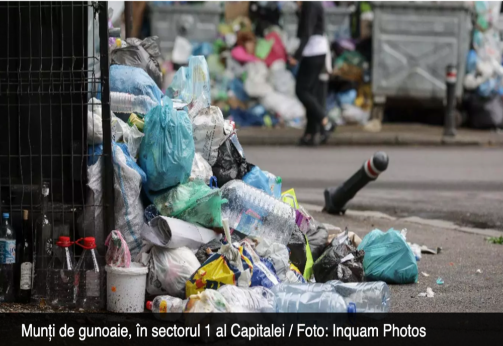 Stare de ALERTĂ SANITARĂ în Sectorul 1, din Capitală - munți de GUNOAIE pe străzi