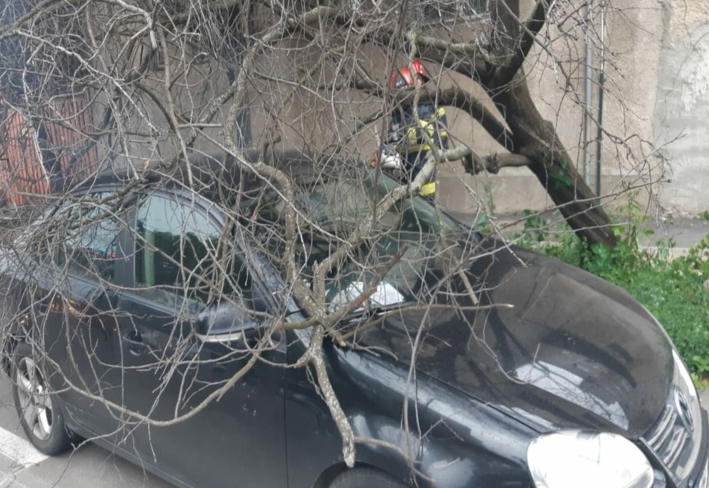 FOTO: Furtună puternică în Bihor! Vântul a doborât mai mulți copaci