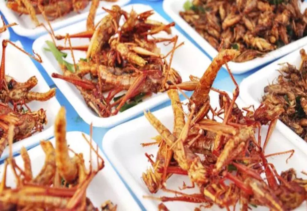 Ce europeni ar accepta cel mai rapid INSECTELE în farfurie