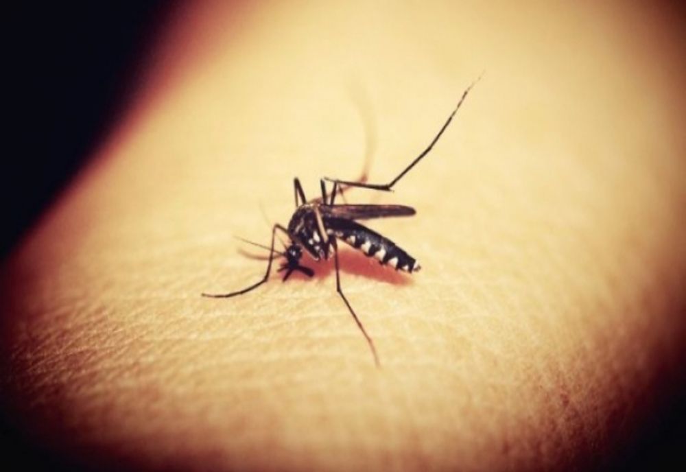 TREI CAZURI DE INFECȚIE CU VIRUSUL WEST NILE LA SPITALUL SUCEAVA. UN PACIENT A DECEDAT