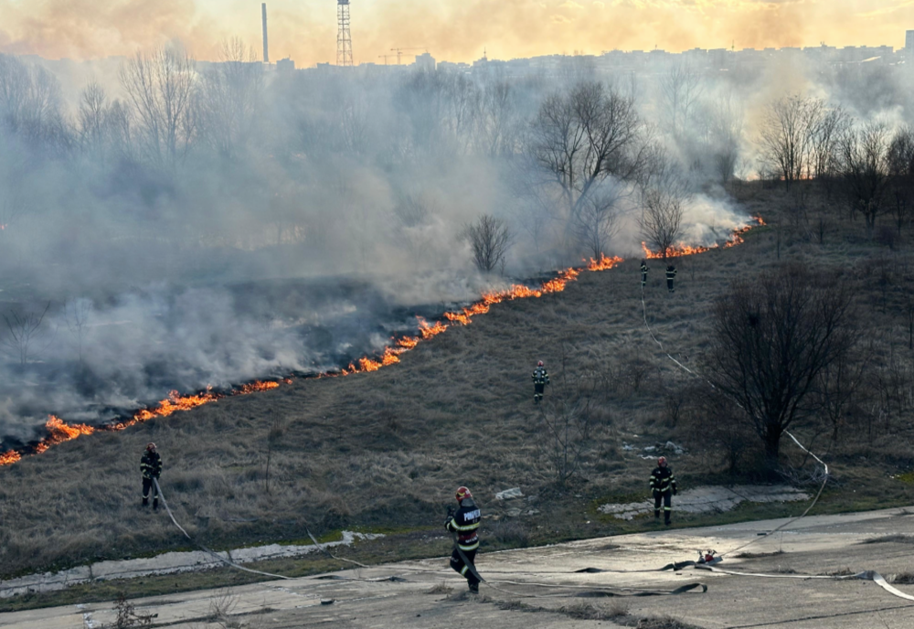 Incendiu în Delta Văcărești: mobilizare de forțe la fața locului