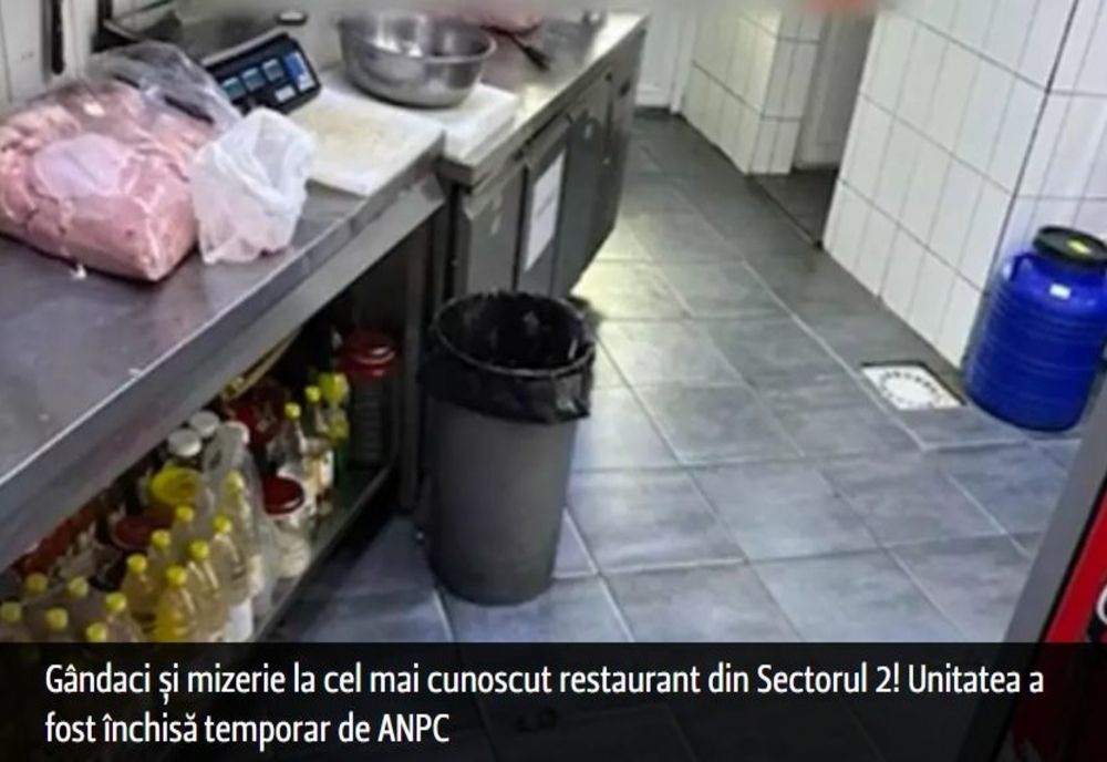 Gândaci și mizerie la cel mai cunoscut restaurant din Sectorul 2! Unitatea a fost închisă temporar de ANPC