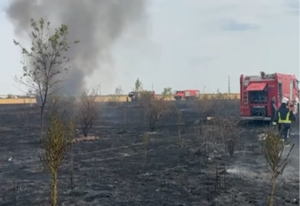 Incendiu de vegetație în Popești-Leordeni! A fost emis mesaj RO-ALERT