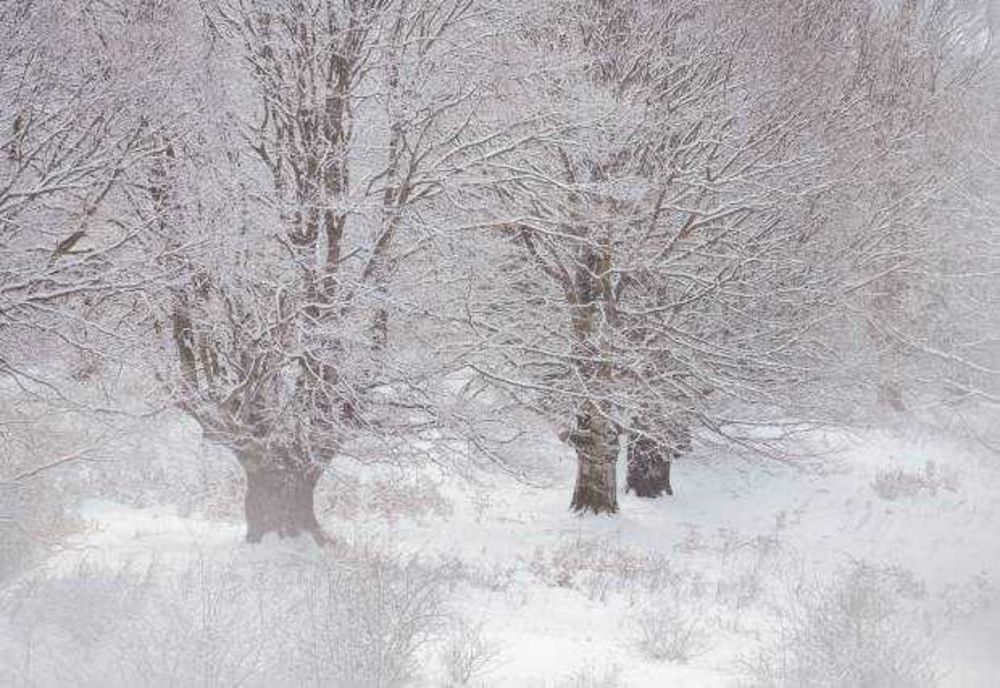VREMEA 16 FEBRUARIE. NINSORI ȘI GER