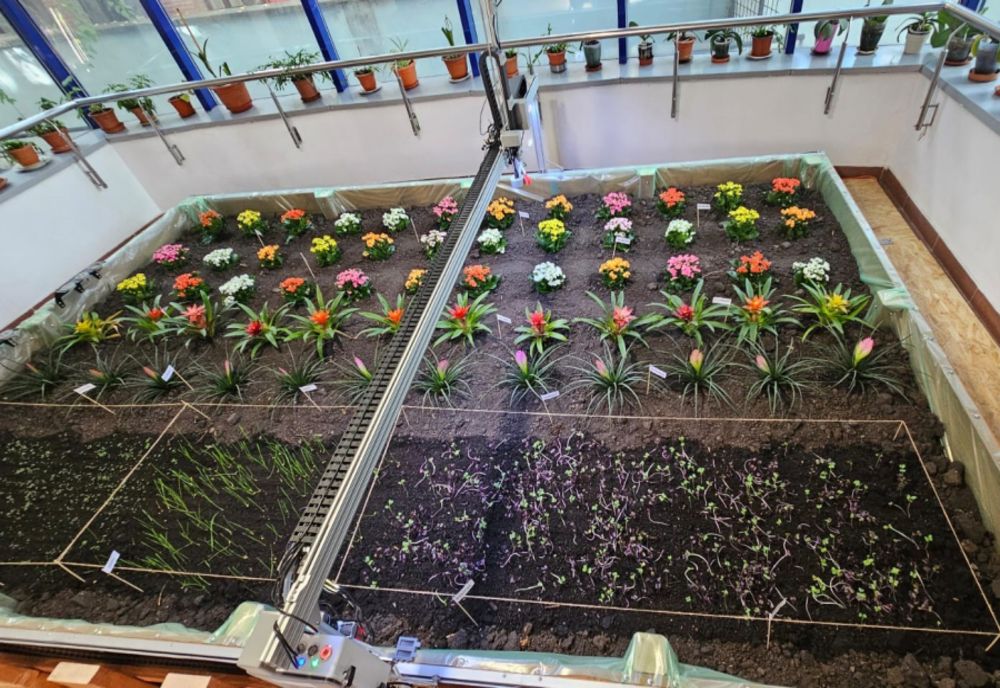 LABORATOR DE AGRICULTURĂ URBANĂ DIGITALĂ ÎN CADRUL ASE BUCUREȘTI 