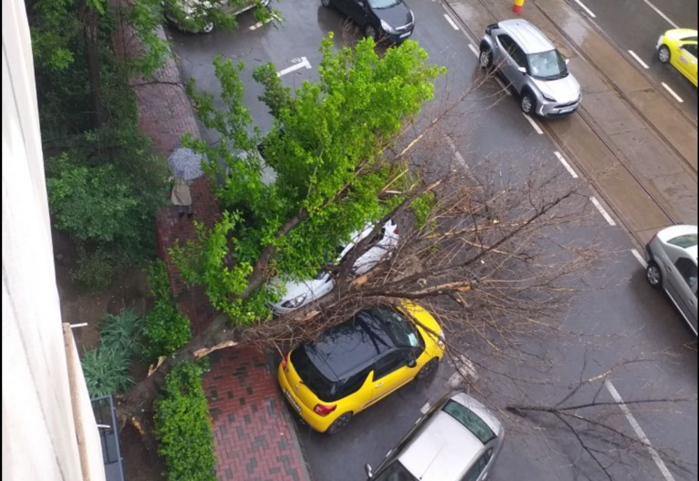 COPAC PRĂBUȘIT PESTE MAȘINI PE CALEA CĂLĂRAȘI DIN BUCUREȘTI