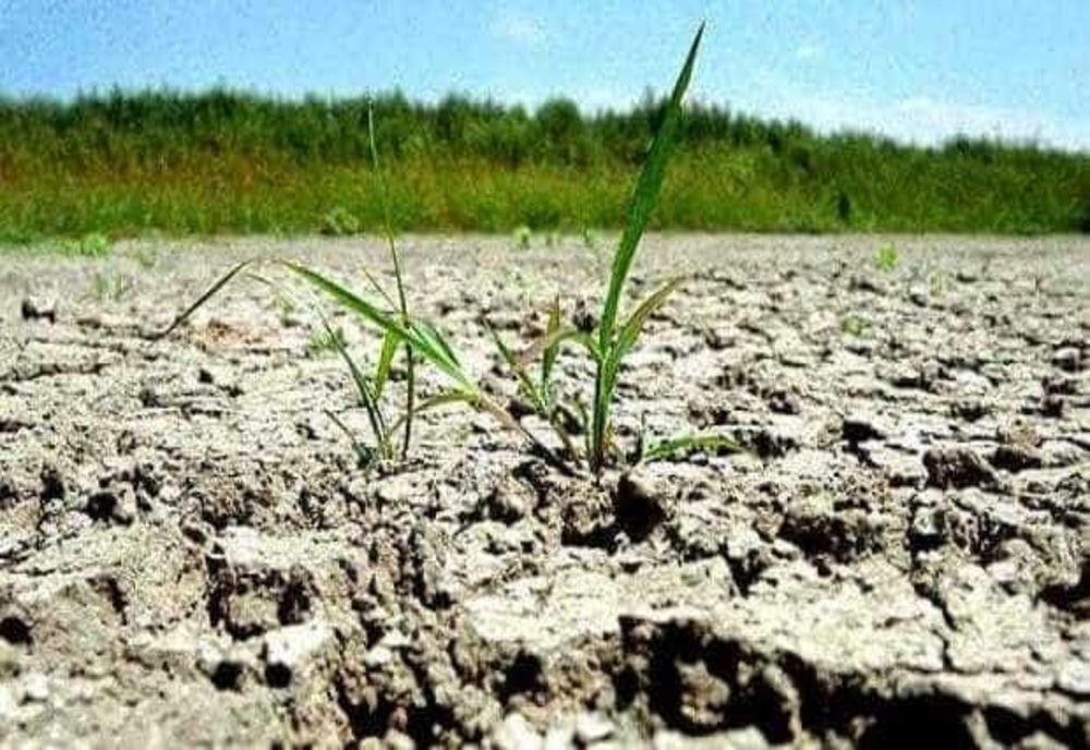 TURCIA SE CONFRUNTĂ CU CEA MAI GRAVĂ SECETĂ DIN ULTIMII 50 DE ANI