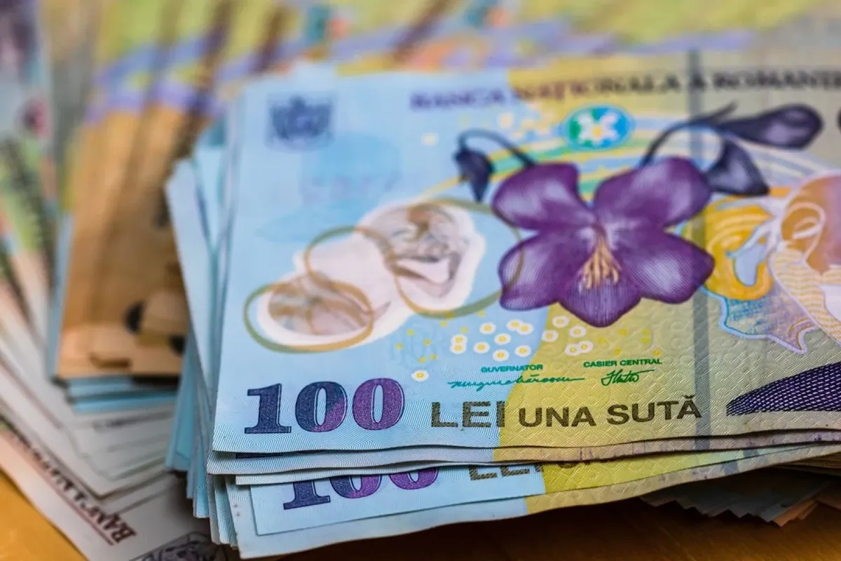 Veniturile unei gospodării din România au trecut de 10.000 de lei pe lună. Câți bani se duc pe cheltuieli