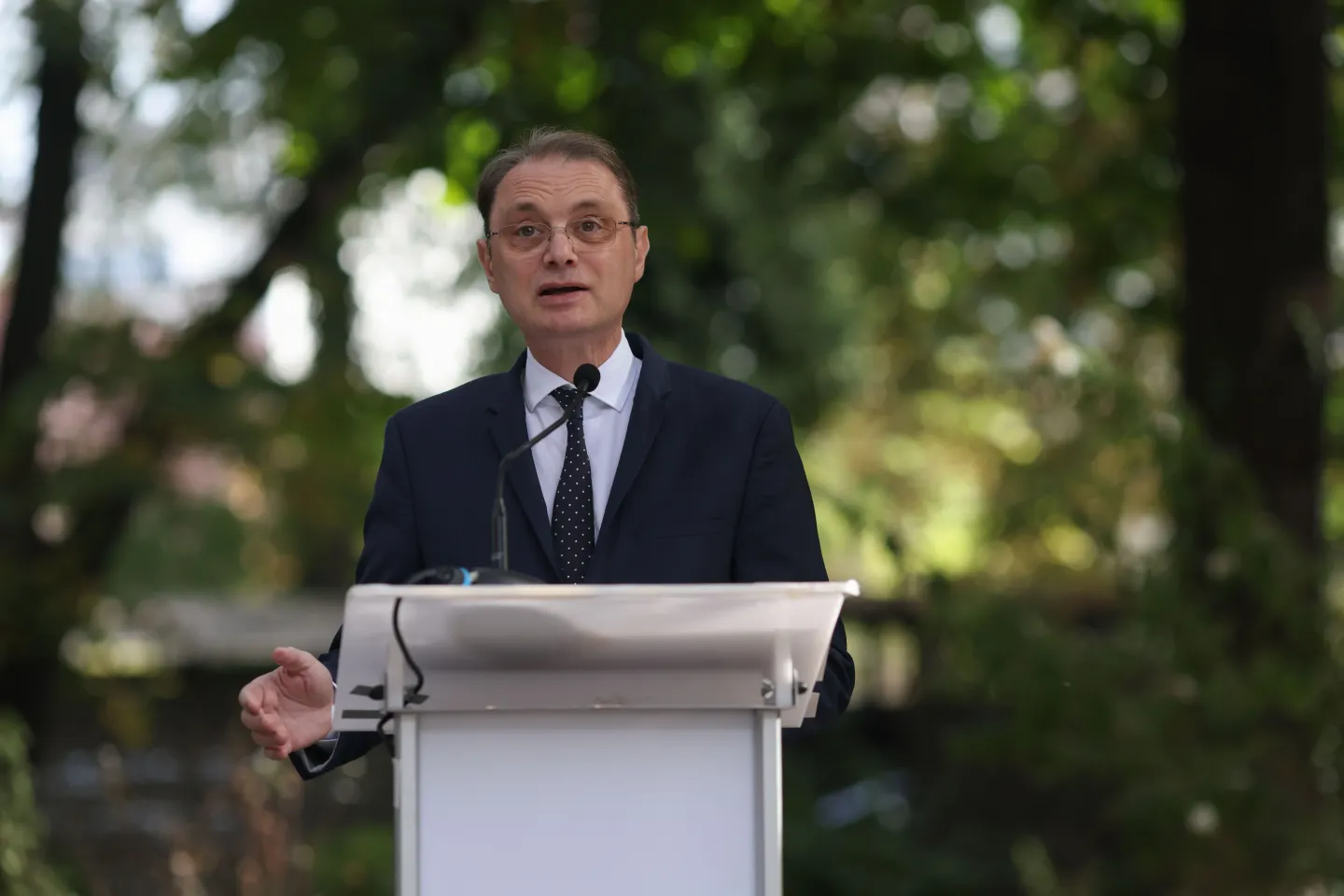 Luca Niculescu a încheiat negocierile cu PACE. Ce au discutat despre viitorul Guvern