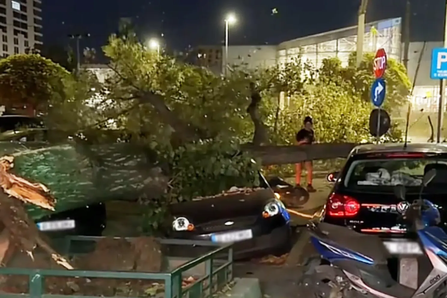 Momentul în care un copac cade peste cinci vehicule, în Capitală. Trafic blocat, după ce un motociclist a fost rănit