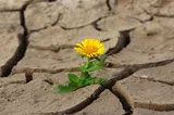 Criză de apă în România: Peste 100 de comunități au restricții din cauza secetei