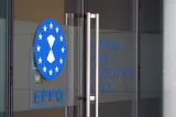 Descindere a Parchetului European într-un spital din România. Anchetă privind un proiect PNRR de aproape 4 milioane de euro