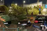 Momentul în care un copac cade peste cinci vehicule, în Capitală. Trafic blocat, după ce un motociclist a fost rănit