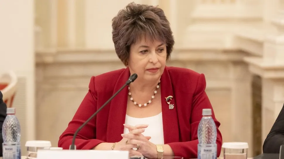 Niculina Stelea (senator AUR)