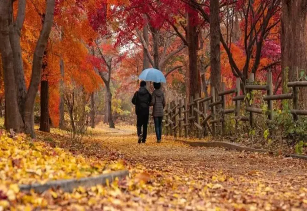 Vremea 24 septembrie. Temperaturi scăzute în toată România - Lapoviță și ninsoare, la munte
