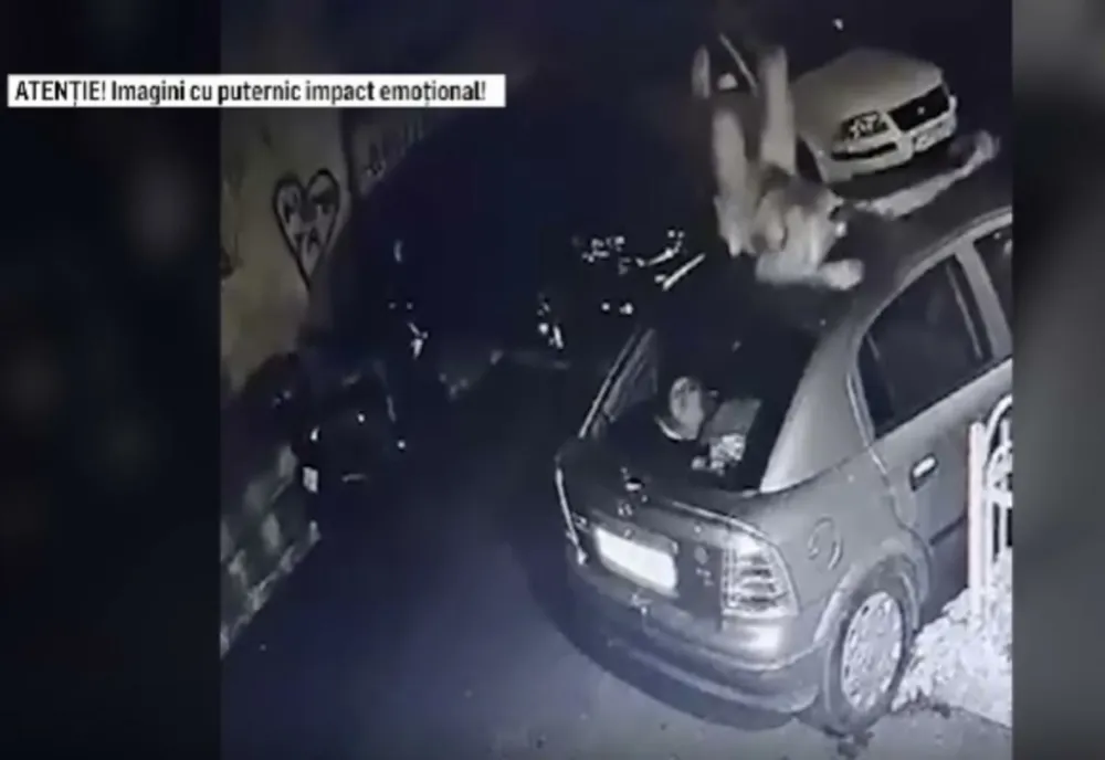 Reacția Poliției în cazul tânărului drogat care a murit la spital - Ce spune expertiza medico-legală referitor la cauza decesului