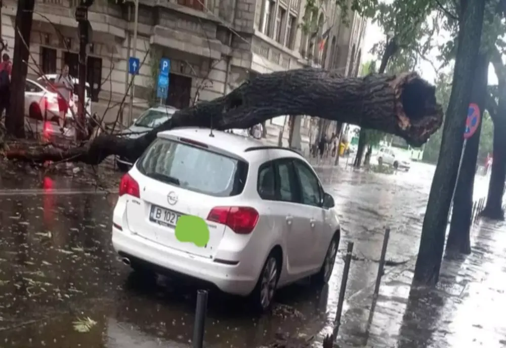 MAI MULTE ZONE DIN BUCUREȘTI AFECTATE DE FURTUNĂ 
