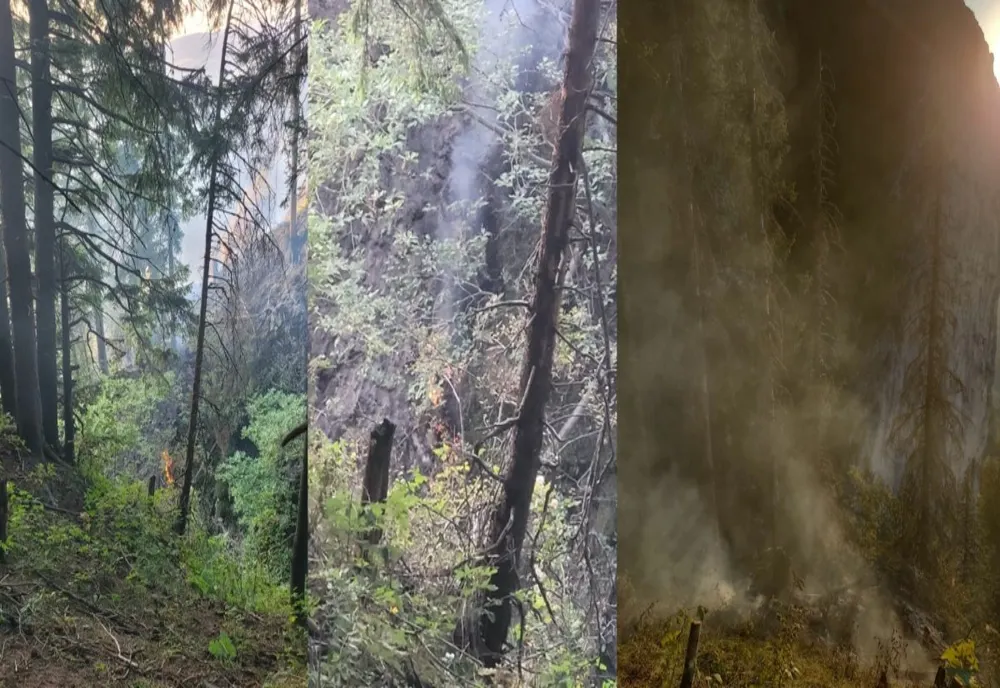 VIDEO INCENDIU DE FOND FORESTIER ÎN MASIVUL PIATRA MARE