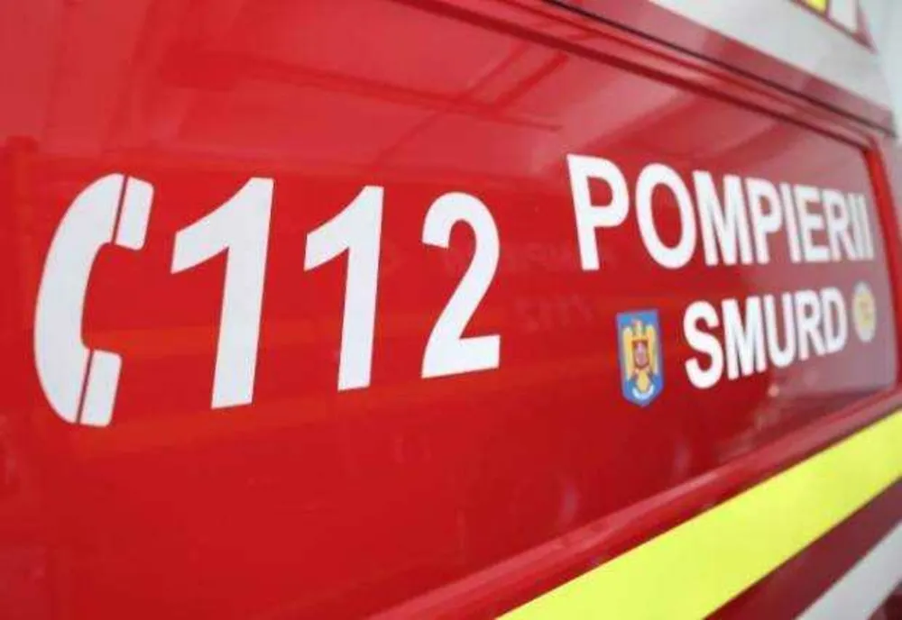 INCENDIU DE VEGETAȚIE USCATĂ ÎN PARCUL IOR DIN BUCUREȘTI
