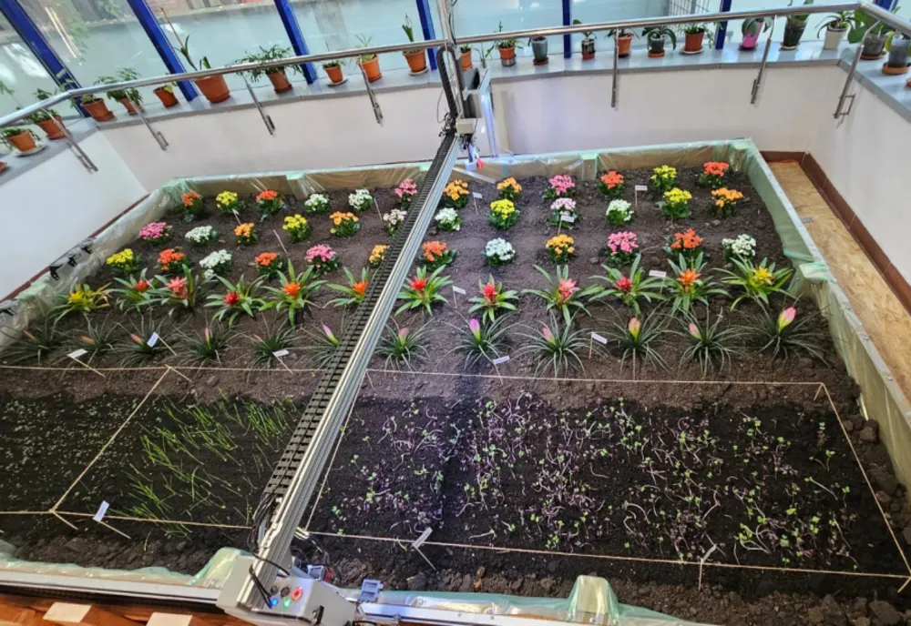 LABORATOR DE AGRICULTURĂ URBANĂ DIGITALĂ ÎN CADRUL ASE BUCUREȘTI 