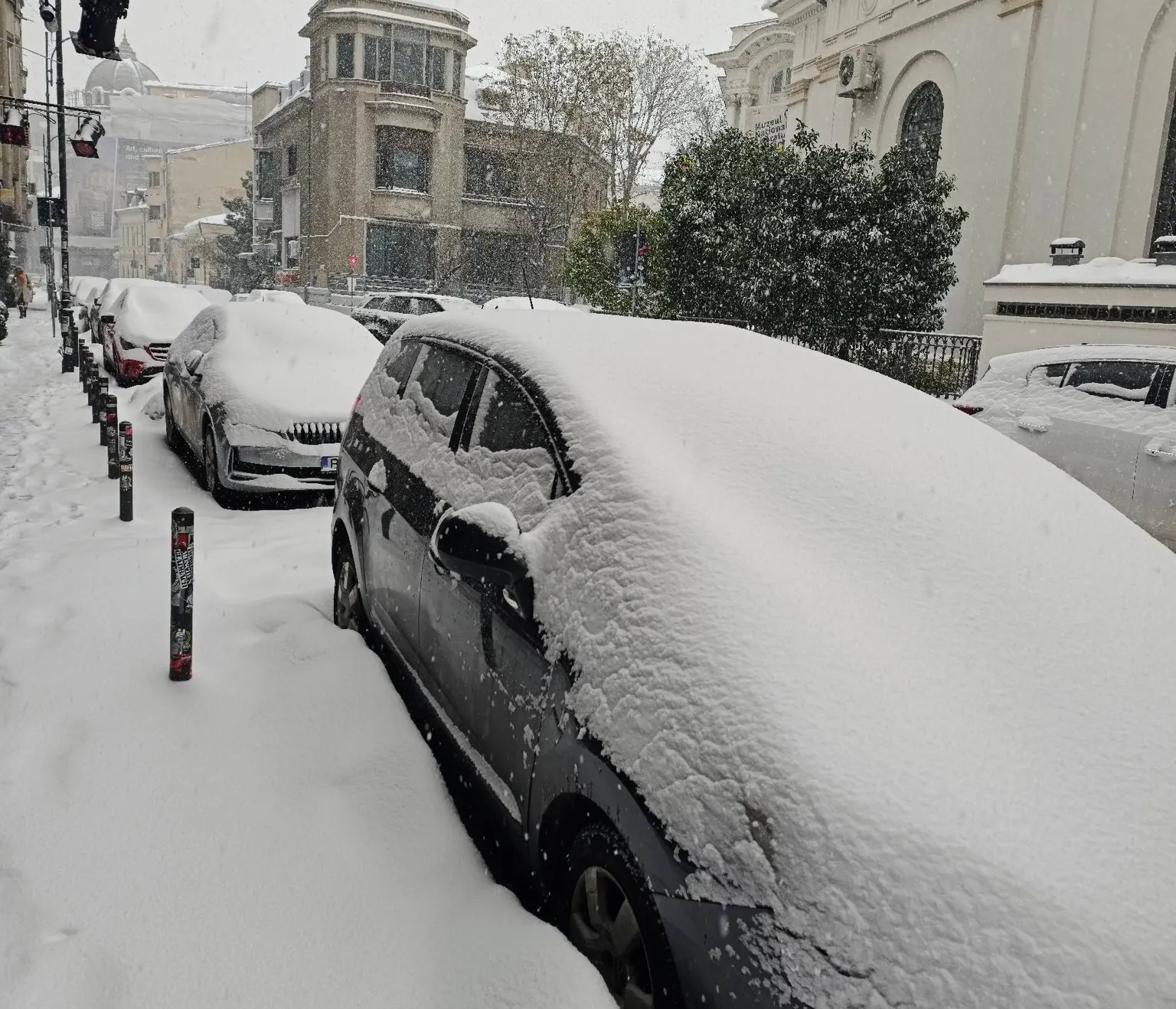 Ninsoare București / Foto: Facebook/Meteoplus