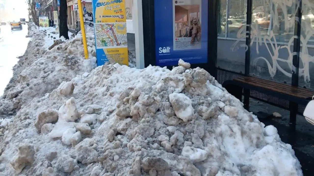 Troiene de zăpadă în Capitală