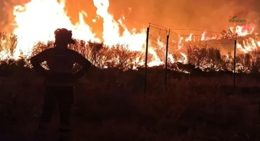 Incendii de vegetație