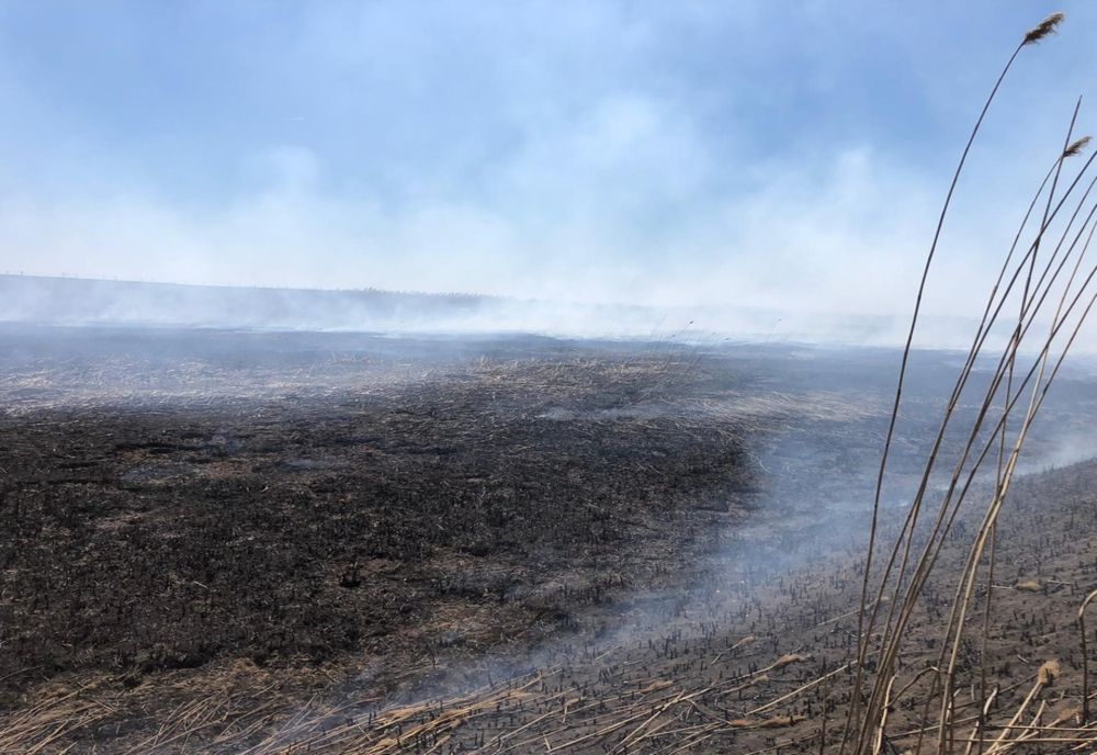 VIDEO Poluare extremă și un aer irespirabil în București