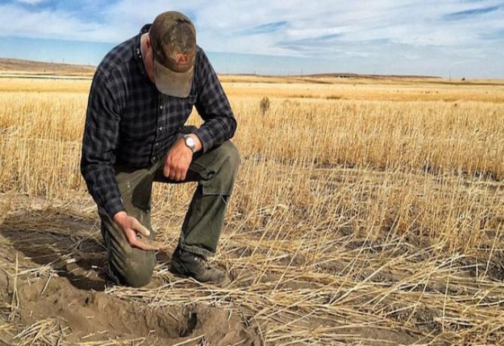 Ministrul Agriculturii anunță secetă extremă, culturile sunt compromise în mare parte