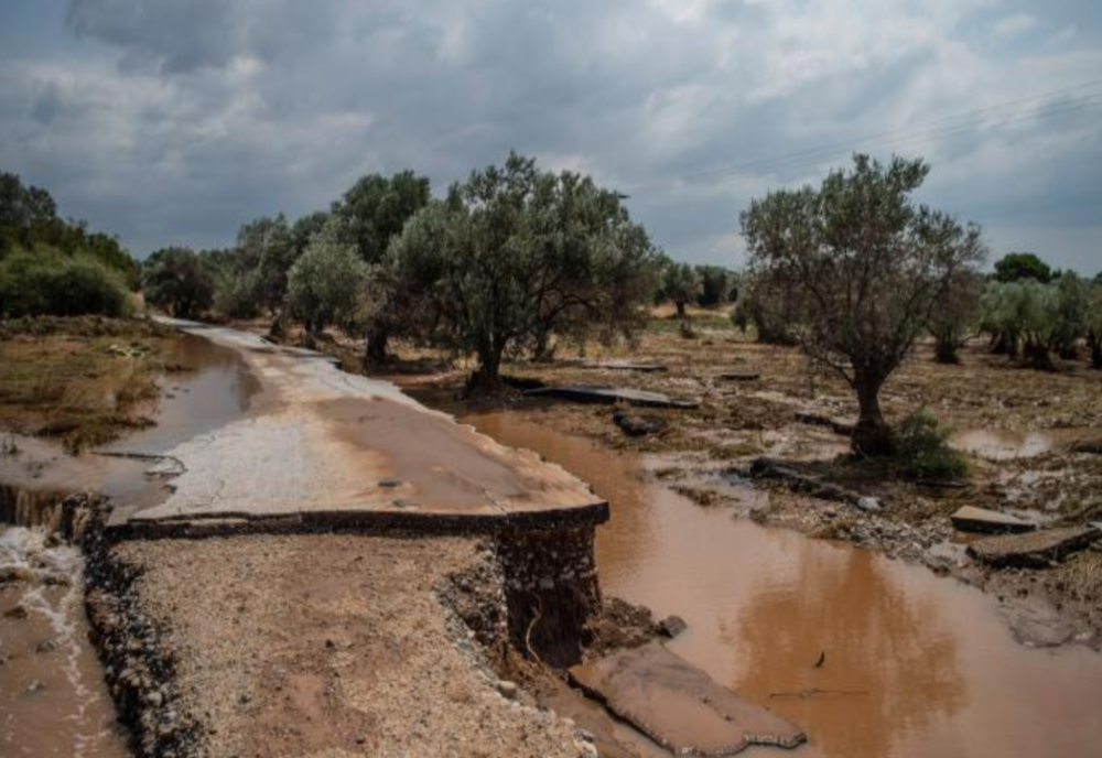 Inundații devastatoare în insula Evia. Cel puțin cinci persoane au decedat