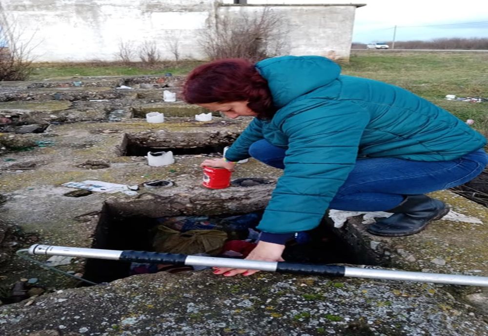 VIDEO | Descoperire şocantă în judeţul Bihor! Câini schingiuiţi şi lăsaţi să moară spânzuraţi într-o groapă de beton