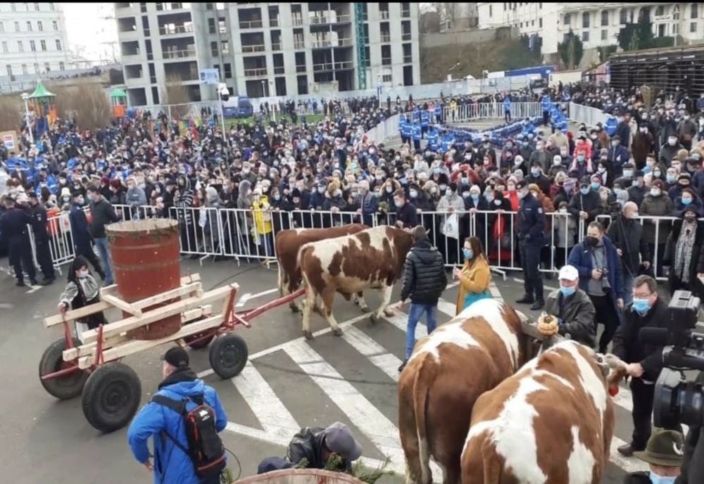 FOTO VIDEO| Boboteza în pandemie la Constanța. Mii de oameni în Portul Tomis