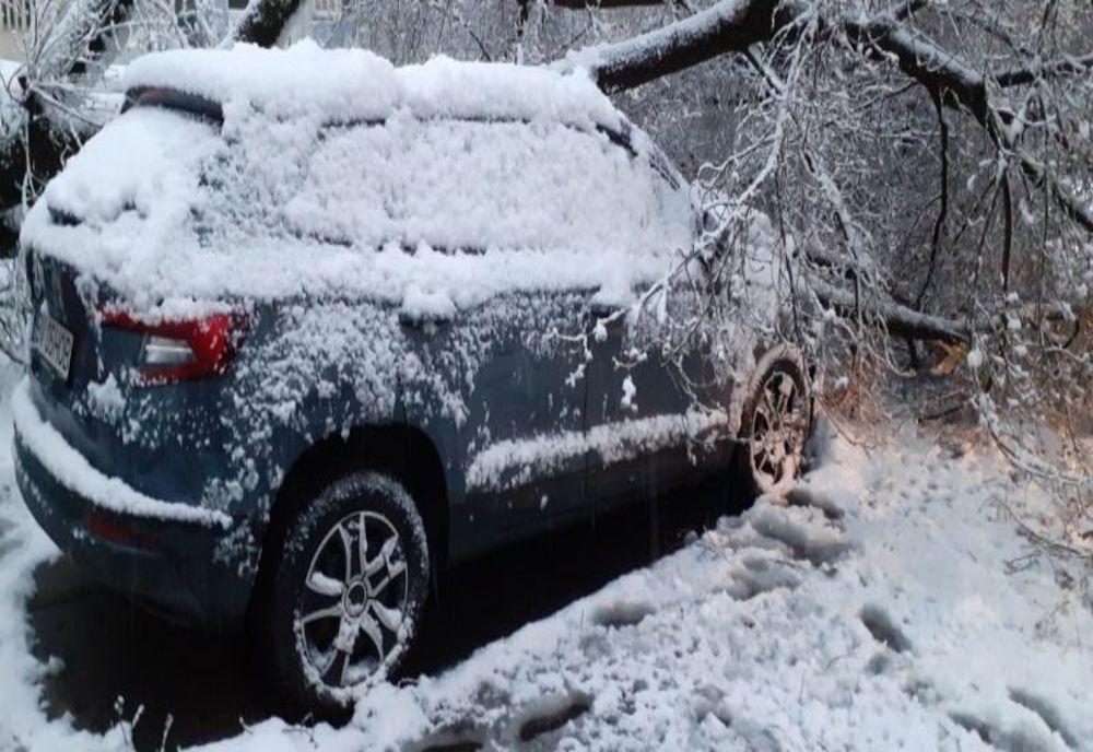 FOTO Copaci căzuți pe case și mașini, în municipiul Brașov