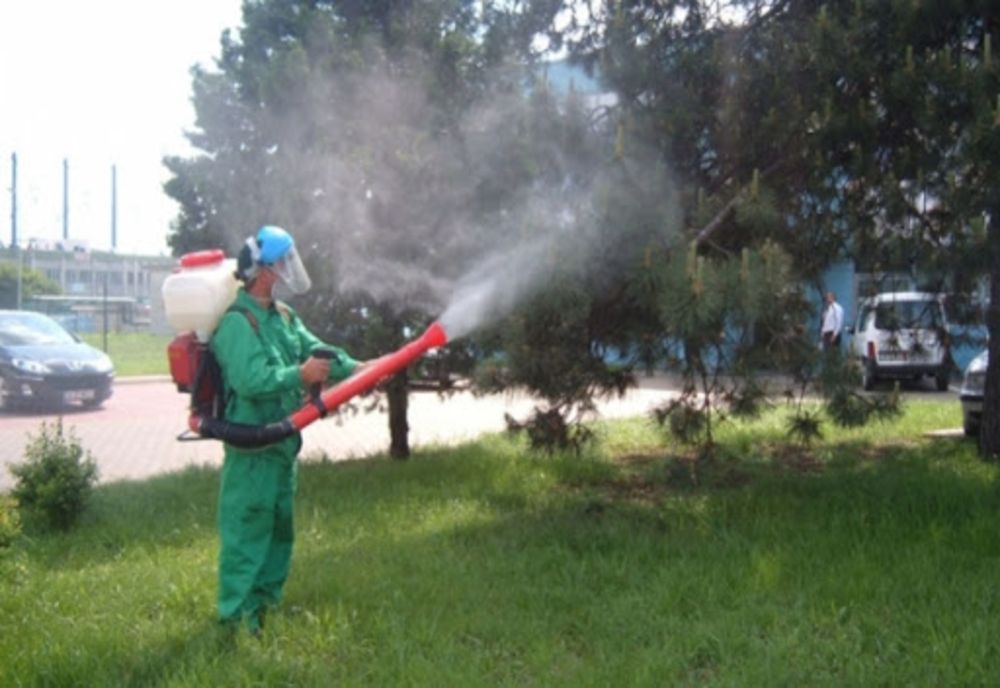 Programul Unitar de Acțiune pentru Deratizare și Dezinsecție în Capitală a fost aprobat