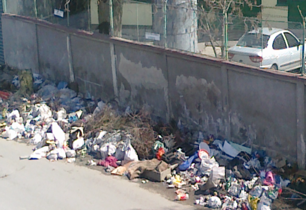 Capitala, la un pas să fie invadată de șobolani și insecte