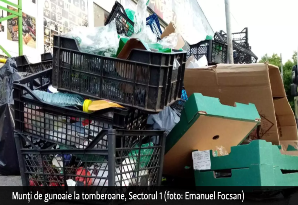 VIDEO Avocatul acționarului principal Romprest: Adimi venea la tribunal cu gărzi de corp ca să intimideze